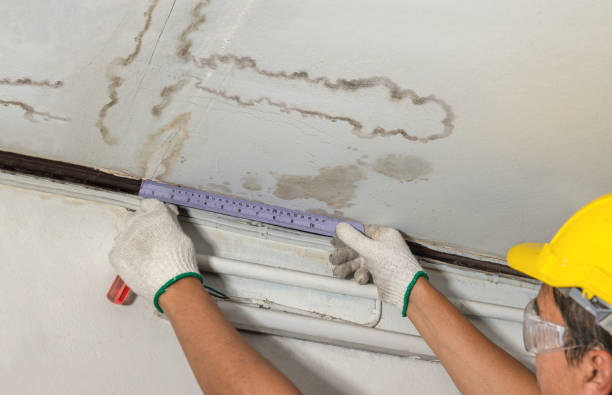 Reliable Mold Remediation contractor in Albany, OR by Water Damage Irwin